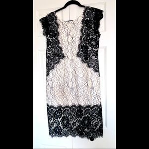 A Pea in the Pod Lace Maternity Dress